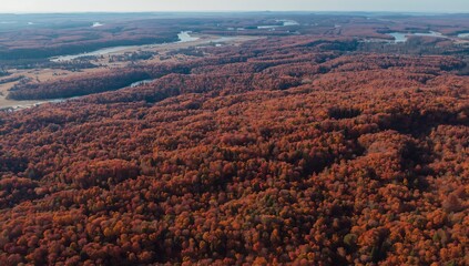 Aerial view of autumn forest landscape with colorful foliage and winding river
