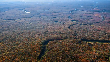 Aerial view of autumn forest and winding river landscape scenic nature background