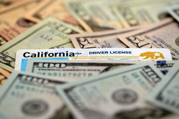 California state driving license among big amount of US dollar bills close up