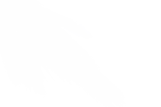 Bright White sunlight special lens flare light effect Rays on transparent Background - Powered by Adobe