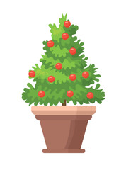 Christmas tree in a pot. Flat vector clipart illustration with isolated background.