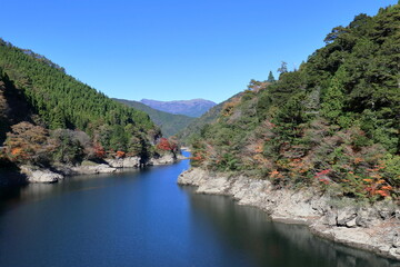 Fototapeta premium 木の根三里橋から吉野川を眺める 秋麗 （高知県 いの町）