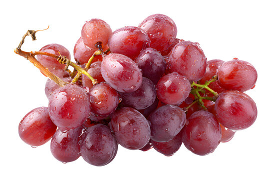 Fresh red grapes with water droplets isolated on a completely black background