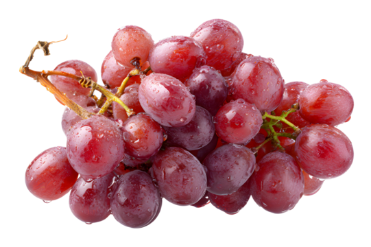 Fresh red grapes with water droplets isolated on a completely black background