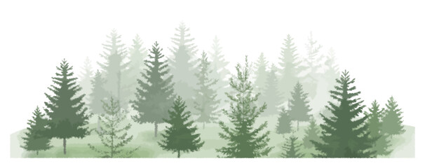Obraz premium Forest trees watercolor vector illustration, pine tree panorama view, lush forest landscape, natural scenery