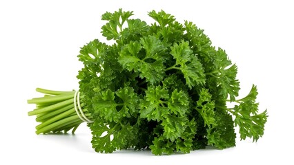 Fresh bunch of curly parsley tied with twine isolated on white background for cooking
