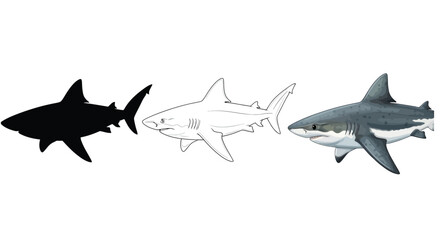 Obraz premium Three representations of a shark including a silhouette, an outline drawing, and a realistic depiction