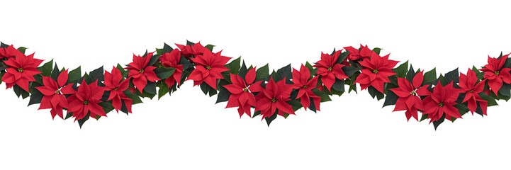 Red poinsettia garland isolated on transparent background