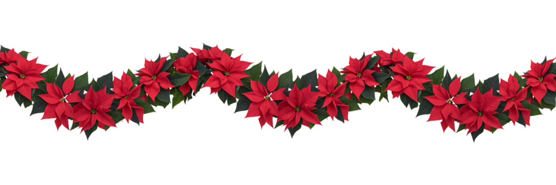 Red poinsettia garland isolated on transparent background