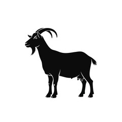 Fototapeta premium Black silhouette of a standing goat with horns