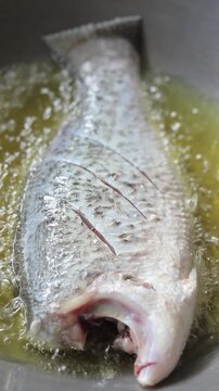 Deep-frying whole raw white snapper or sea bass fish in hot oil on wok.
