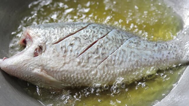 Deep-frying whole raw white snapper or sea bass fish in hot oil on wok.