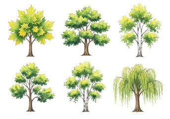 Collection of six different stylized trees isolated on white background