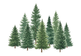 Watercolor painting of a cluster of evergreen trees isolated on white background