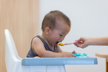 Mother feeding baby at home during meal time