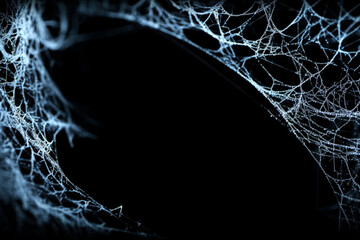 Spooky Spiderweb Overlays: Eerie Halloween Backgrounds with Creepy Cobwebs and Frightening Arachnid Webs for Haunted House Decor, Scary Party Invitations, and Spine-Chilling Digital Artwork