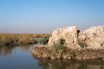 Panoramic view of Chibayish wetlands with livestock and traditional