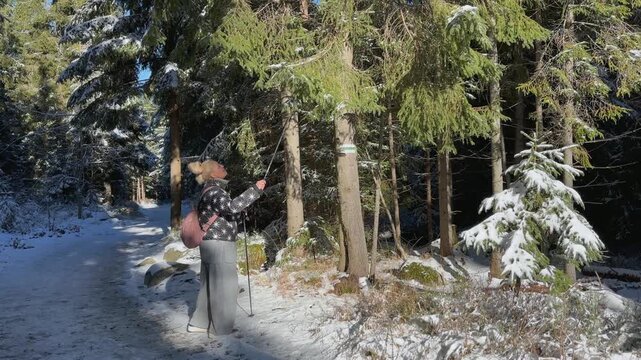 A woman uses a trekking pole to clear snow from spruce branches