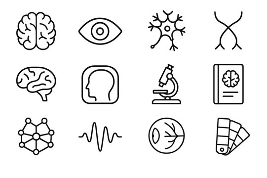 Brain and Vision Icons. Brain and vision systems. Line icon set of brain and vision systems: brain, eye, neuron, optic chiasm, visual cortex, fMRI scan,