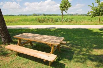 New empty pine wood picnic table on a green meadow in a public park with trees and shade
