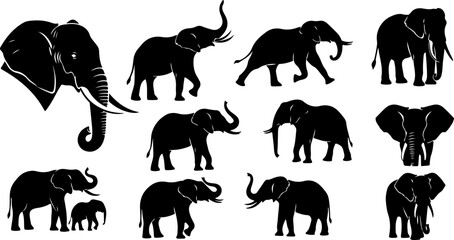 Naklejka premium Elephant Vector Design Set