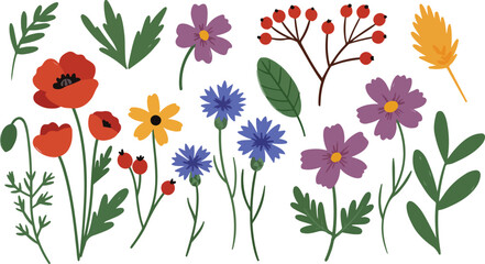 Stylized garden flowers and natural elements vector collection