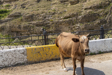 Laza Falls, Qusar, Azerbaijan. Unbelievable nature park.