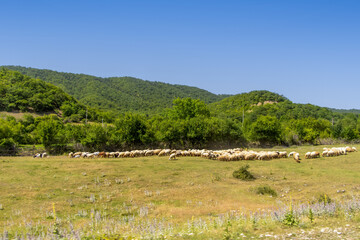 Laza Falls, Qusar, Azerbaijan. Unbelievable nature park.