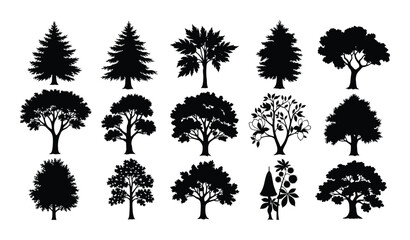Set of diverse tree silhouettes including pine maple oak and other deciduous and coniferous species isolated
