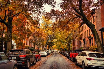 Fall in New York © Michael Lisi