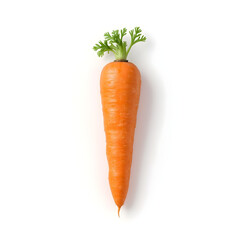 Single vibrant orange carrot with feathery green tops isolated on a pristine white surface