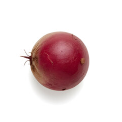 Single whole red beet with attached root hairs on bright white background