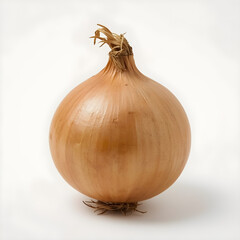 Single golden onion bulb with dry stem on white surface