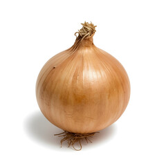 Single whole unpeeled brown onion with dry papery skin isolated on a pure white background