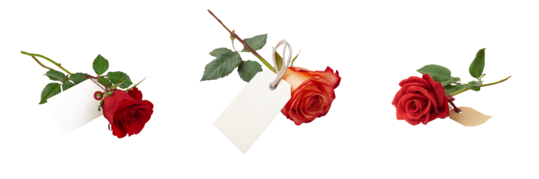 Beautiful red roses with tags a transparent background floral arrangement