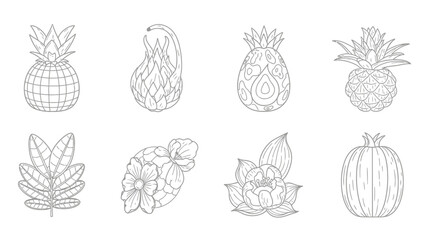 Line art illustration featuring various fruits, flowers, and plants in a detailed, intricate style.