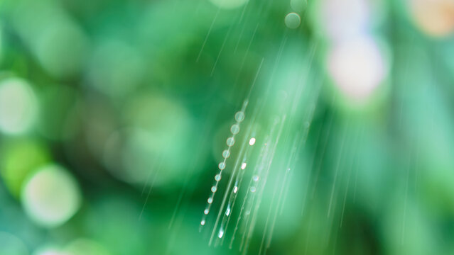 abstract defocus blur bokeh and raindrop glow green background