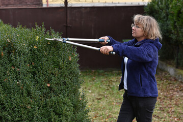 Woman trimming a garden hedge
