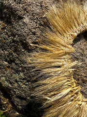 A hand-woven wreath of grass stalks
