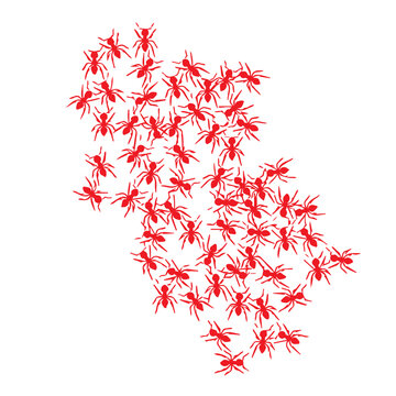 Red Ant Colony Swarm