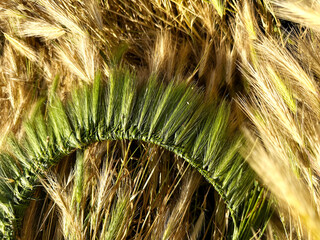 A hand-woven wreath of grass stalks
