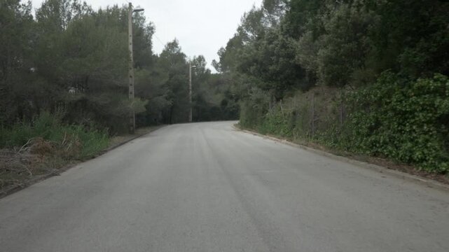 Road asphalt gimbal stabilized traveling mountain overcast trees