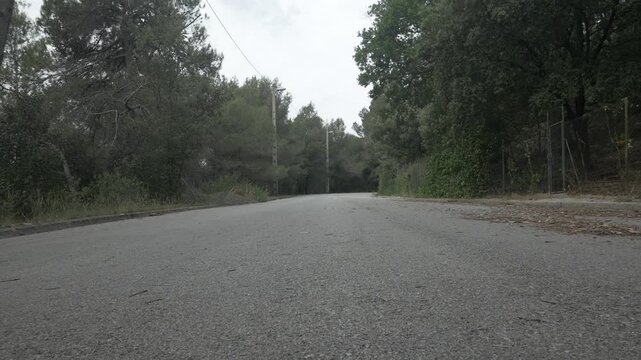 Road asphalt low angle mountain trees overcast