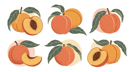 Illustration of fresh peaches with leaves in various compositions on white background