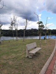 bench in the park in summer