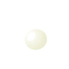 egg on a white background