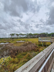 Boardwalk Through Coastal Marsh at Assateague Island National Seashore