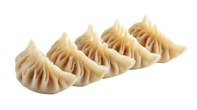 Five freshly made dumplings lined up on a white background, perfect for culinary and food photography.