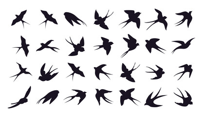 Swallow, martlet. Clear white sky, birds in a natural habitat. Barn swallow flying, wings spread. Hirundo rustica on white background. Wildlife. Tattoo design, watercolor art, set, wild animals, free