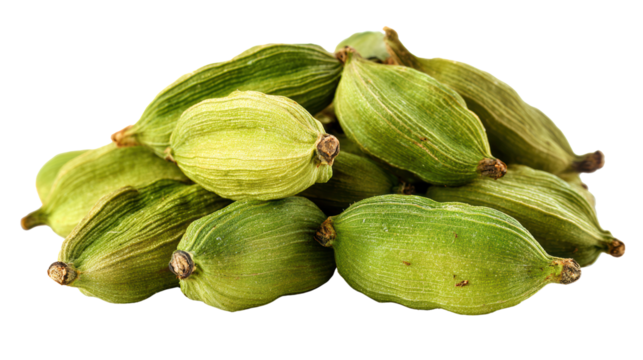 Fresh green cardamom pods isolated on a white background.